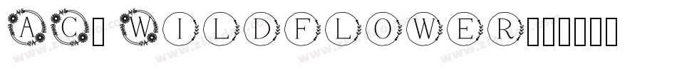 AC3 Wildflower字体转换